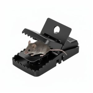 ১ পিস ইঁদুর মারার ফাঁদ