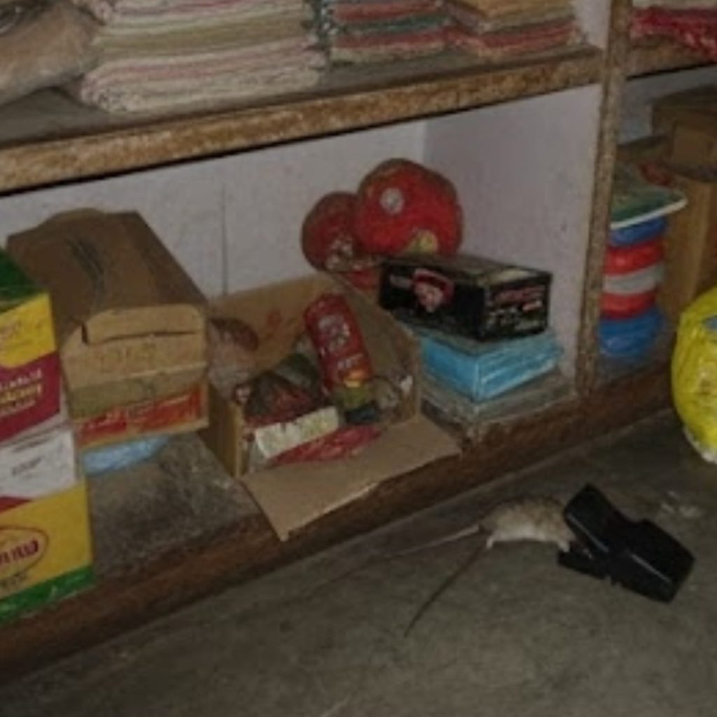 WhatsApp Image 2026-01-15 at 8.59.58 PM