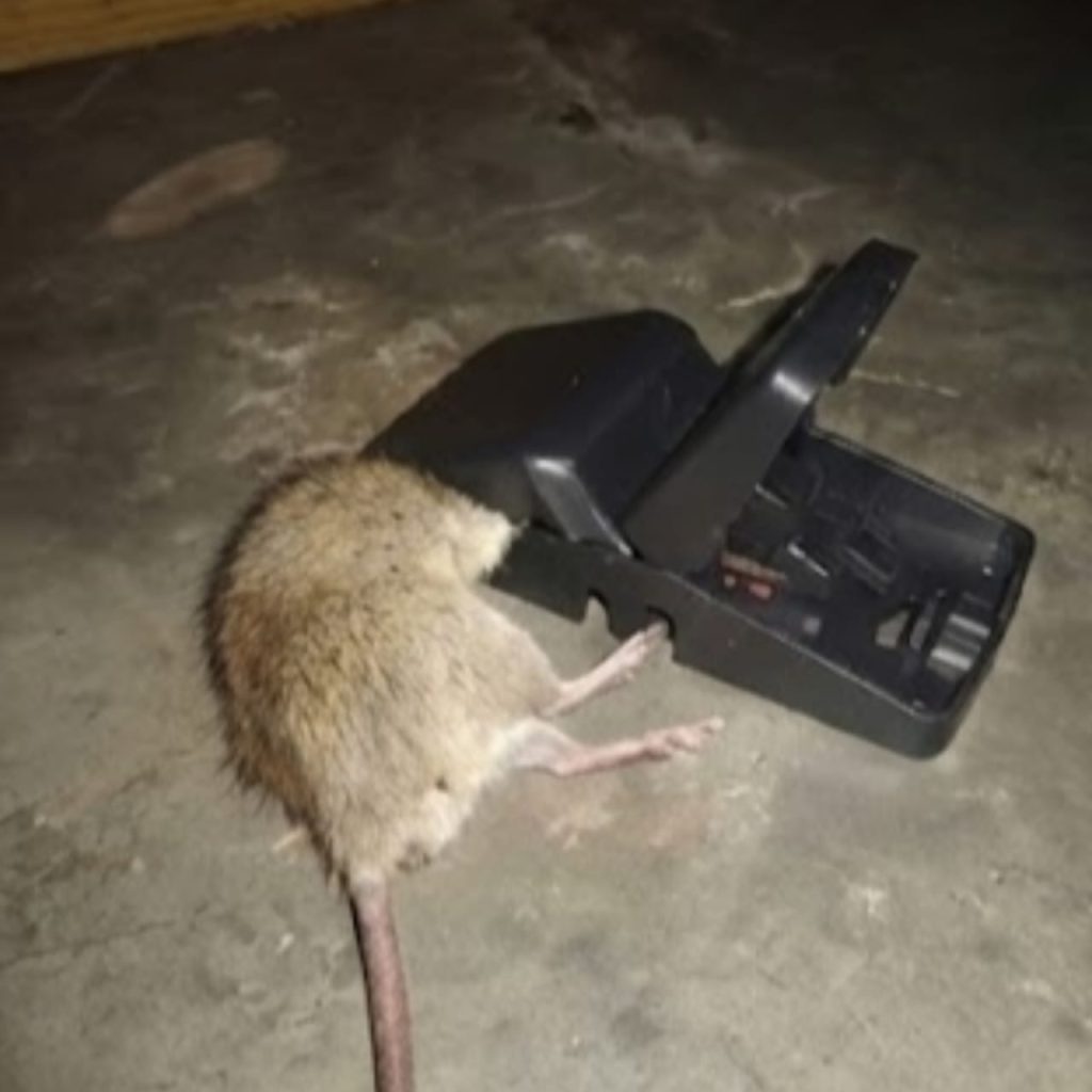 WhatsApp Image 2026-01-15 at 8.59.59 PM (1)