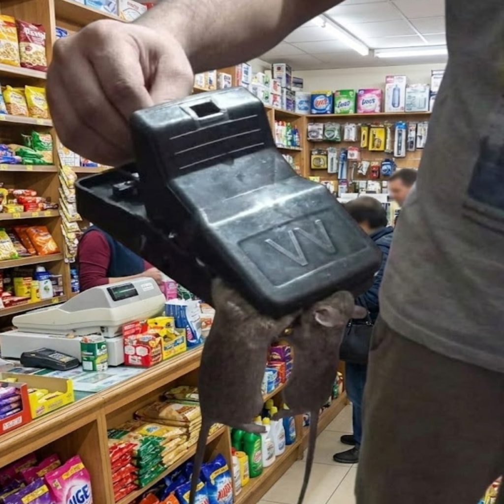 WhatsApp Image 2026-01-15 at 9.00.00 PM